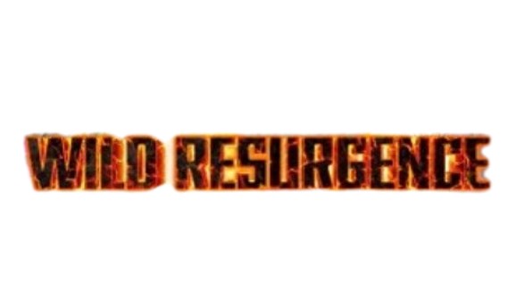 Wild Resurgence - Dragon Ball Super Card List and Prices