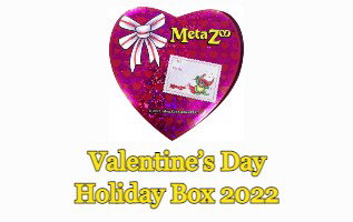 Valentine's Day Holiday Box 2022