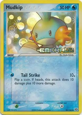 Mudkip 