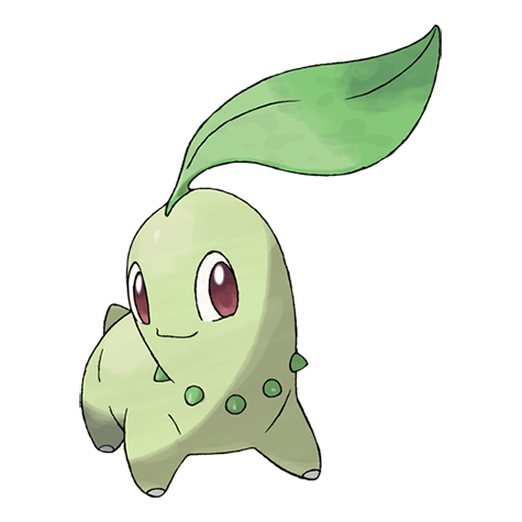 Chikorita - 152 - The Pokedex Pokemon - Collectr