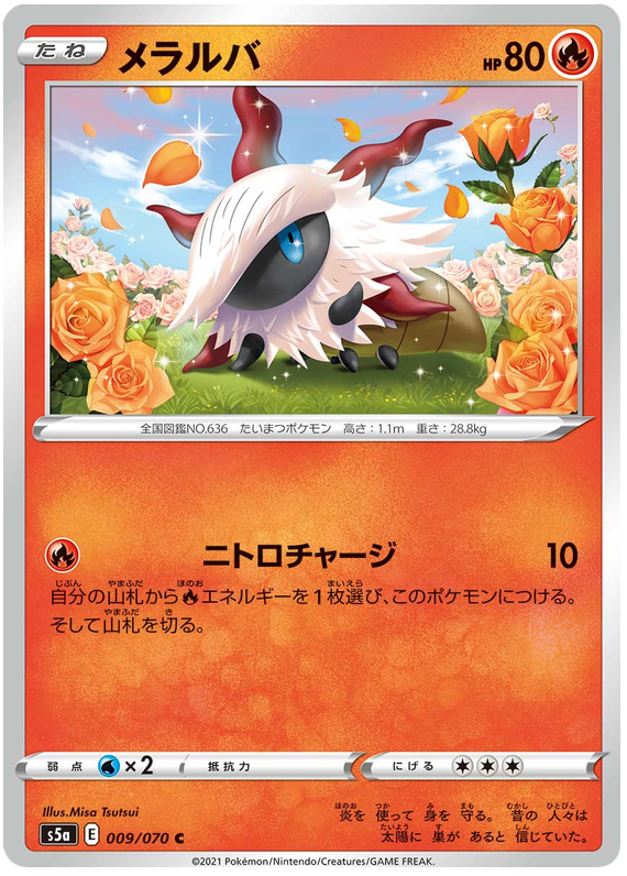 pokemon evolution card list Pokemon Mega Evolution Perfect Order Elite Trainer Box – Trading Card Market