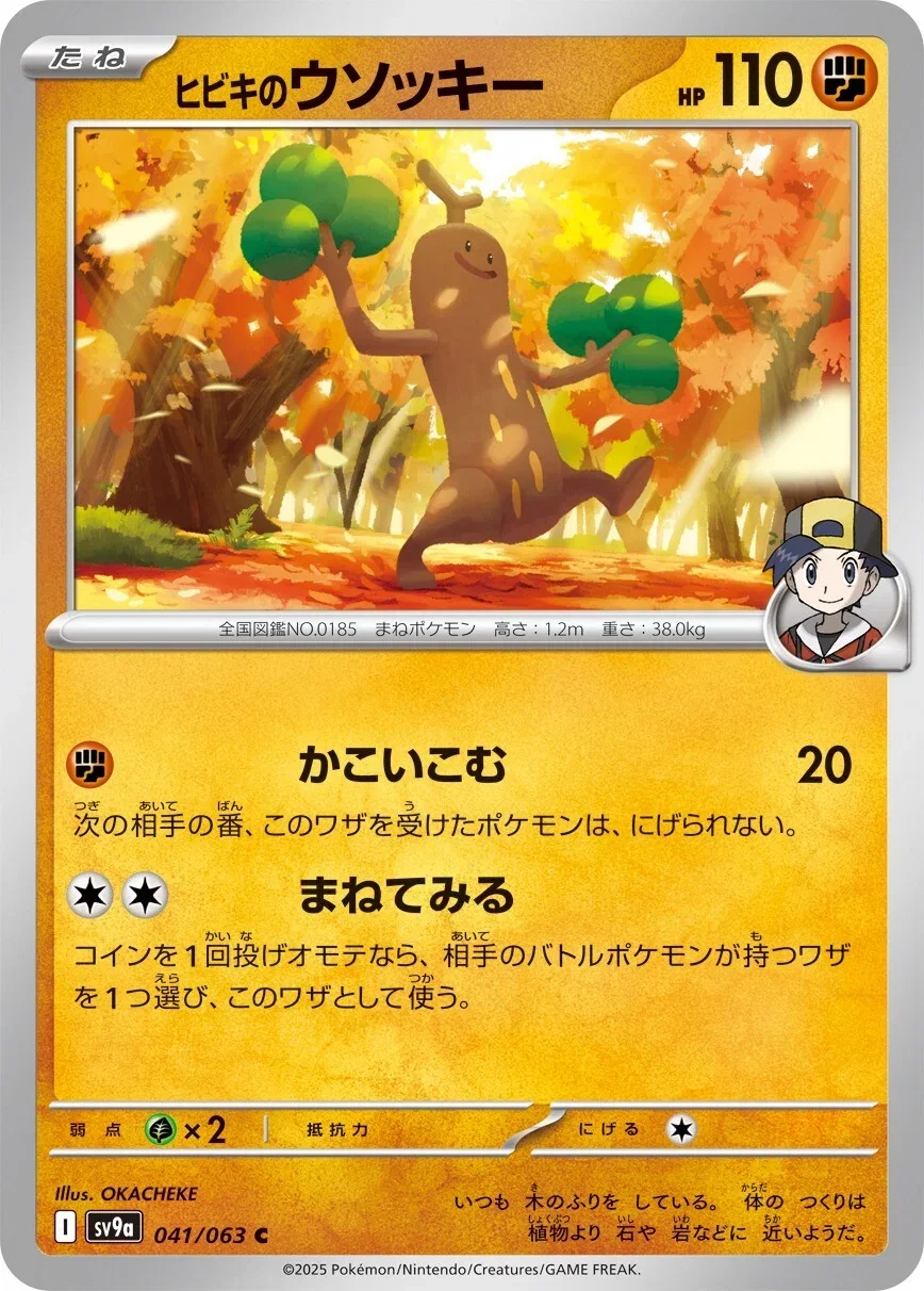 Ethan's Sudowoodo 041/063 — Hot Air Arena