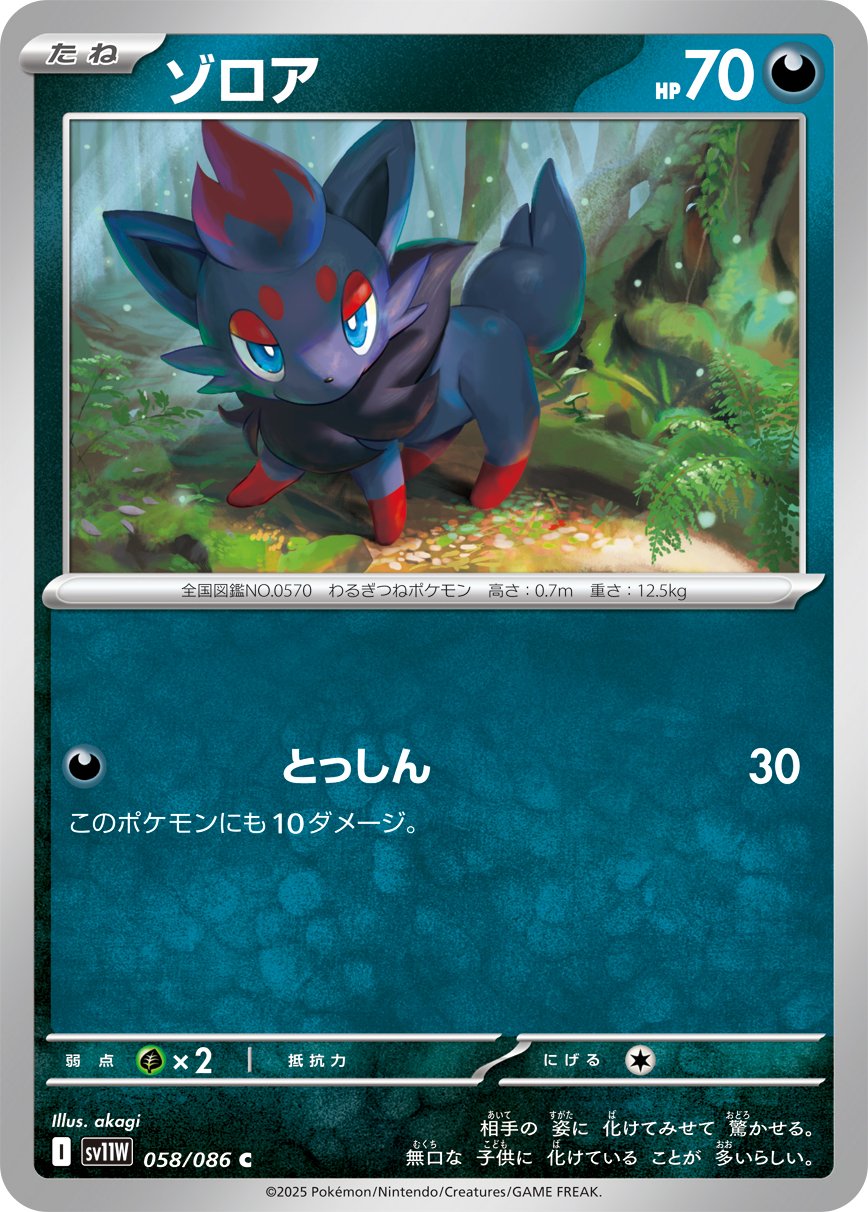 Zorua (Poke Ball Pattern) 058/086 — White Flare