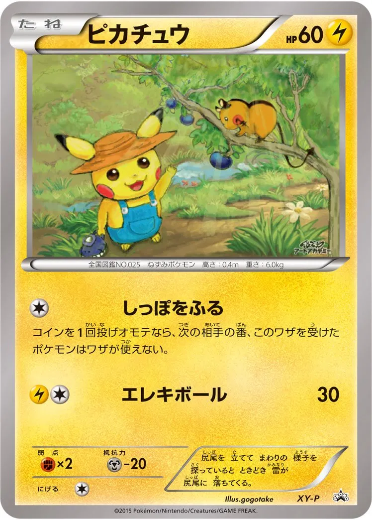 art academy pokemon cards : Nintendo of America: Video Games Each Vhett Trophy Shield kit comes with the following One acrylic shield Art Academy (JP) - Pokemon