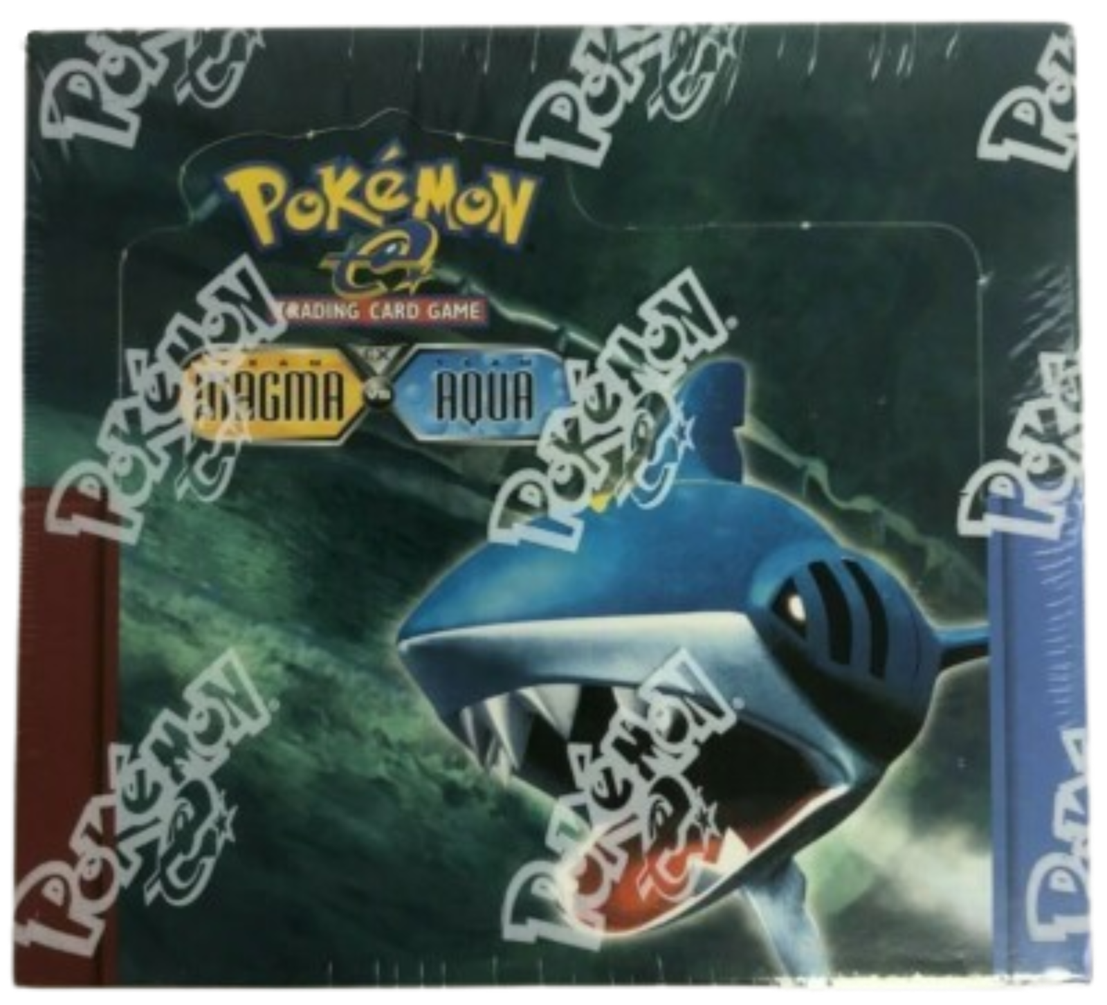EX Team Magma vs Team Aqua