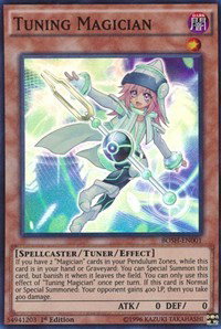 Tuning Magician BOSH-EN001