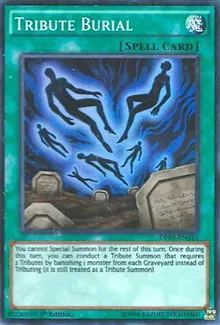Duelist Pack: Rivals of the Pharaoh - YuGiOh Card List and Prices Duelist Pack: Rivals of the Pharaoh - YuGiOh Card List and Prices