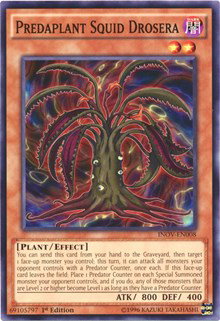 Predaplant Squid Drosera INOV-EN008