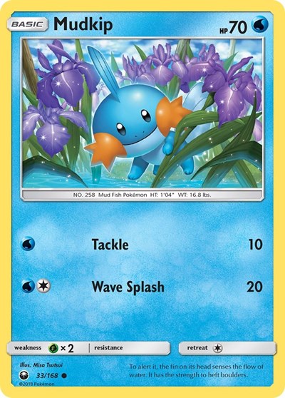 Mudkip (33) 33 — Celestial Storm