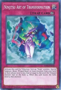 yugioh shadows in valhalla card list Amazon.com: Yu-Gi-Oh! - Magical Meltdown - SHVA-EN042 - Super Rare - 1st  Edition main image 1