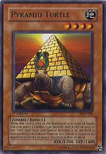 Pyramid Turtle 