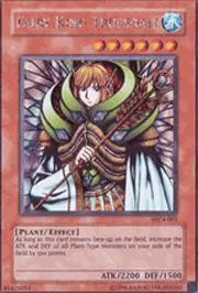 yugioh world championship 2004 promo cards Yu-Gi-Oh!