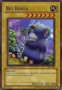 Big Koala 004