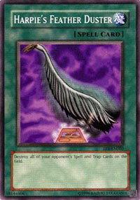 Harpie's Feather Duster 