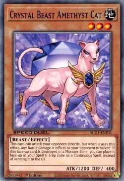 Speed Duel GX: Duel Academy Box - YuGiOh Card List and Prices Speed Duel GX: Duel Academy Box - YuGiOh Card List and Prices