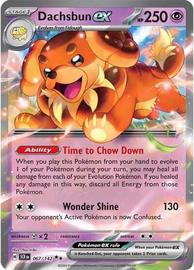 Dachsbun ex 067/142 — Stellar Crown