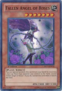2012 Premium Collection Tin - YuGiOh Card List and Prices 2012 Premium Collection Tin - YuGiOh Card List and Prices