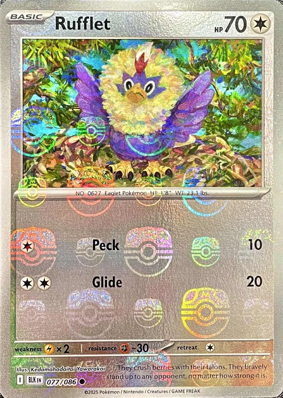 rufflet pokemon card Japanese 076/086 sv11W C TCG ToysOneJapan Pokmon Hit Points60 HP Form Rufflet (Paradox Drive #62/109, 1-Diamond)