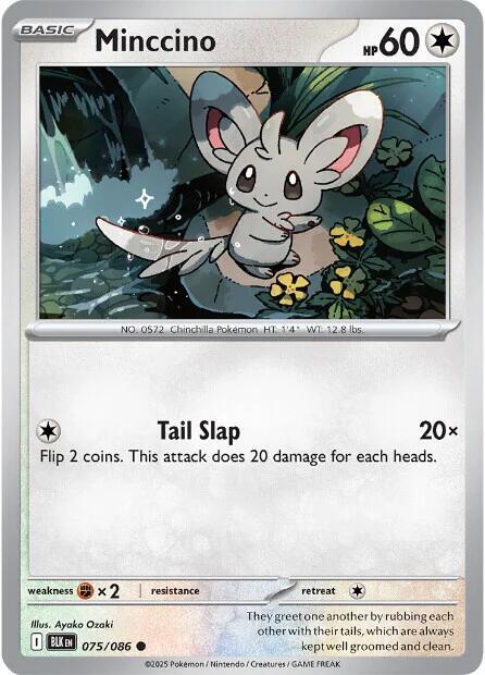 Minccino 075/086 — Black Bolt