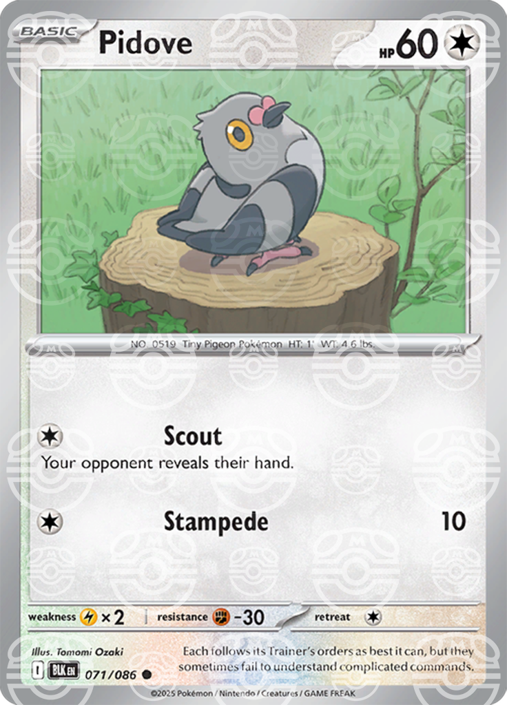Pidove (Master Ball Pattern) 071/086 — Black Bolt