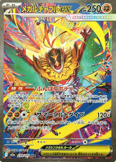 Mega Brutalibré / Mega Hawlucha 239/193