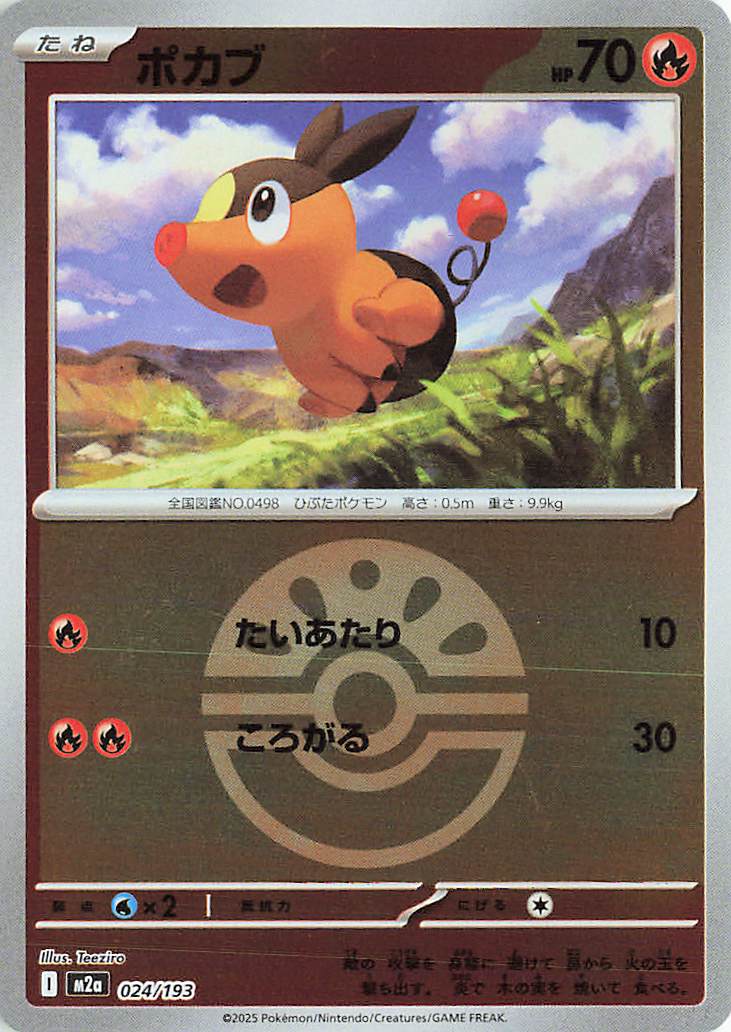 Tepig (Friend Ball Pattern) 024/193 — MEGA Dream ex