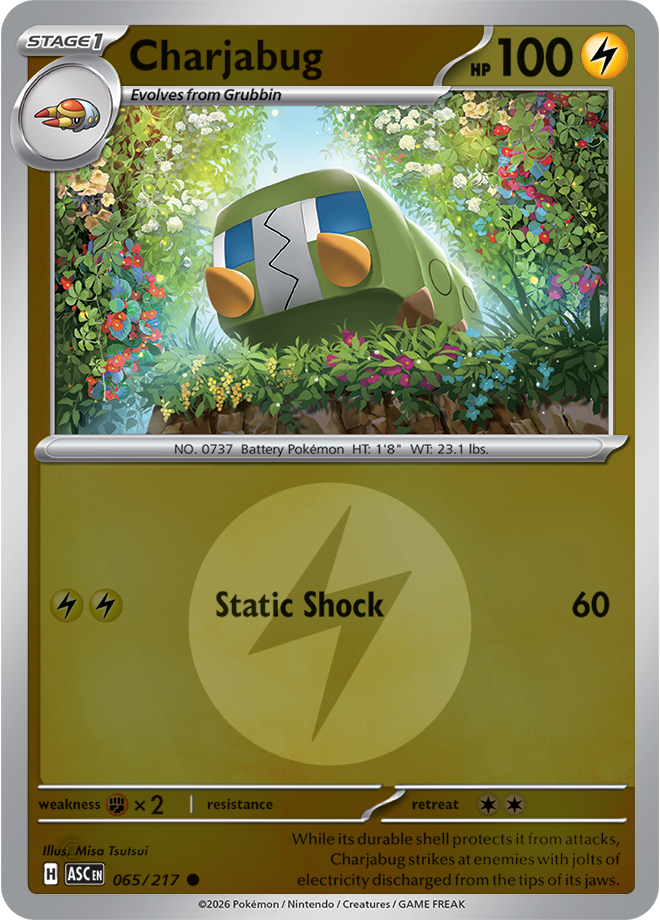 Charjabug (Energy Symbol Pattern) 065/217 — Ascended Heroes