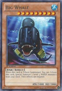 Big Whale LTGY-EN008