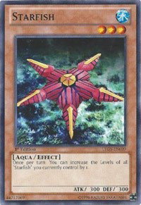 Starfish LTGY-EN009