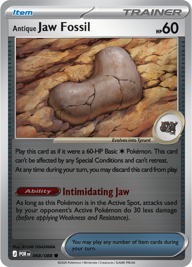 Antique Jaw Fossil 068/088 — Perfect Order
