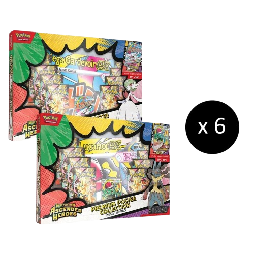 Premium Poster Collection Case 
