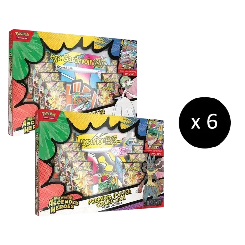 Premium Poster Collection Case