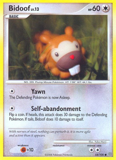 Bidoof 54 — Stormfront