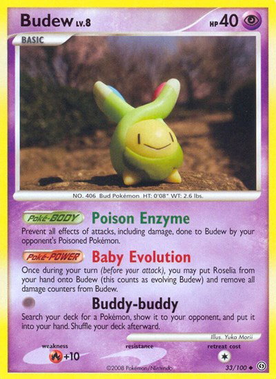 Budew 33 — Stormfront