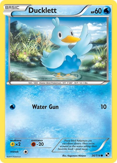Ducklett 36 — Black and White