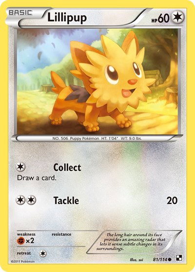 Lillipup (81) 81 — Black and White