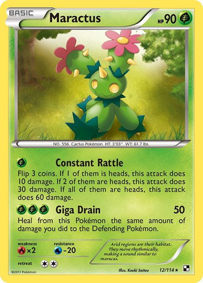 Maractus 12 — Black and White