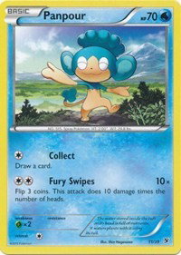 Panpour 11 — Kalos Starter Set