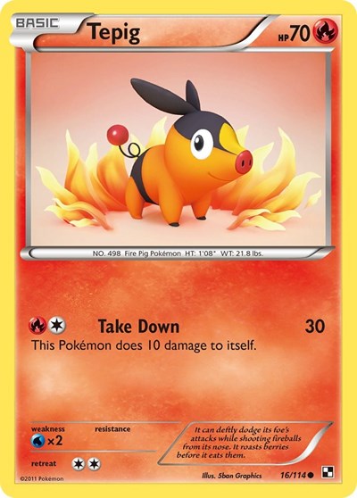 Tepig (16) 16 — Black and White