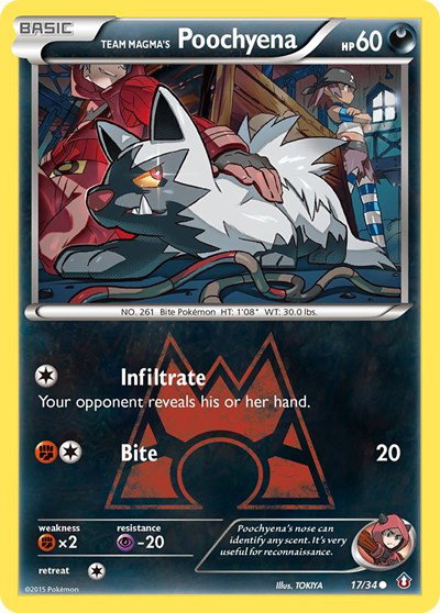Team Magma's Poochyena 17 — Double Crisis